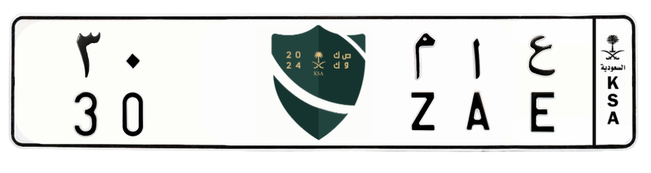 لوحة ع ا م 30